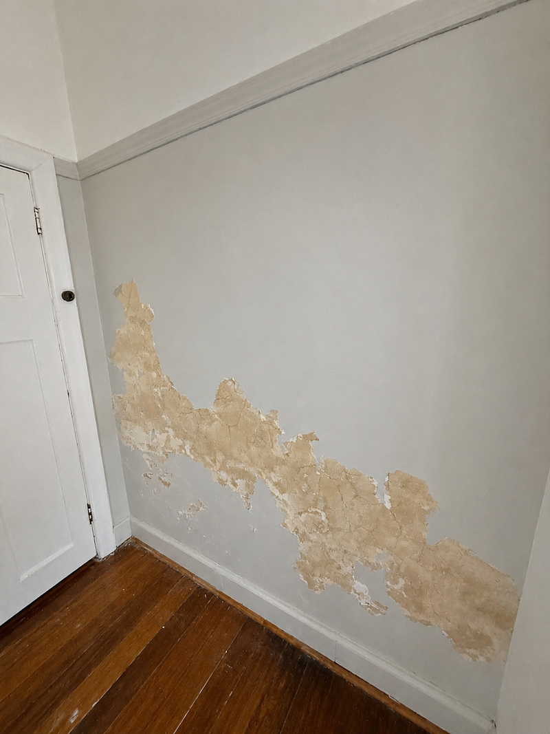 A room corner showing a large section of a light gray painted wall with significant beige peeling paint and exposed textured surface, set against a white door and hardwood floor.